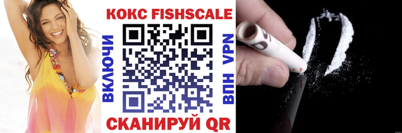 КОКАИН Fish Scale  МЕГА ссылка  Ставрополь 