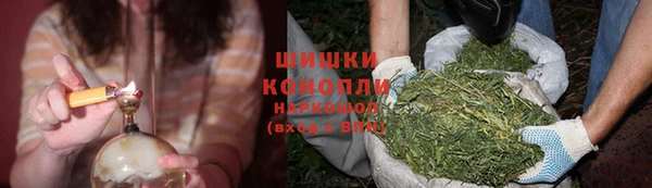 jwh Сясьстрой