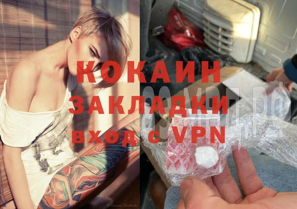 стаф Тихвин