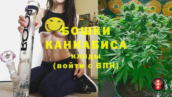 jwh Сясьстрой