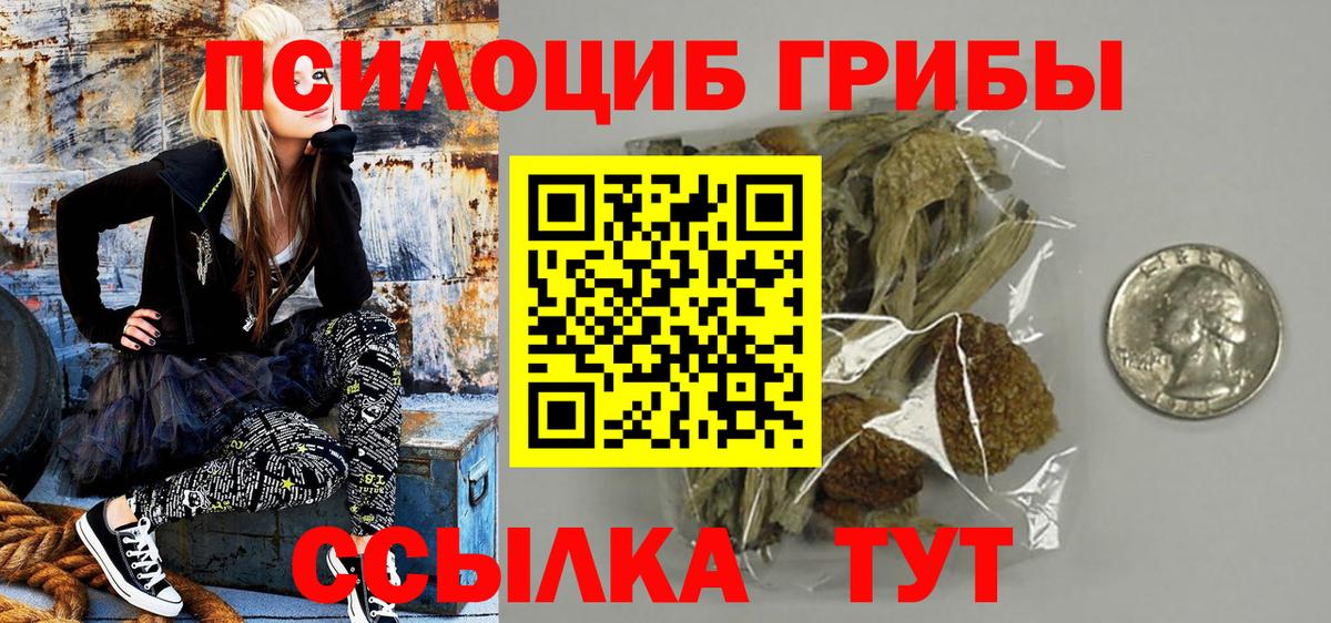 Ставрополь  Псилоцибиновые грибы Psilocybe  Вход с VPN 