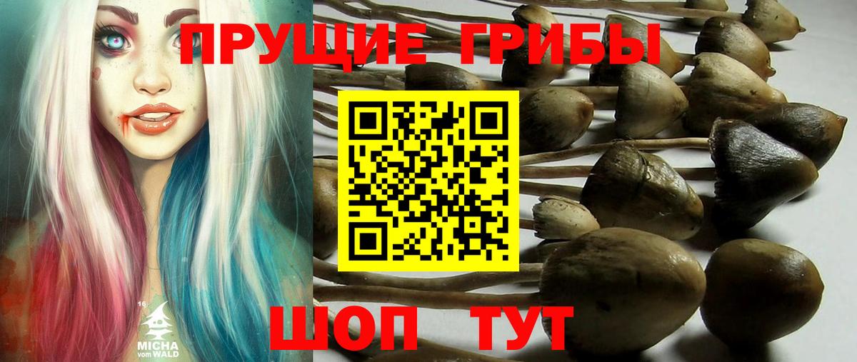 Псилоцибиновые грибы Magic Shrooms Ставрополь