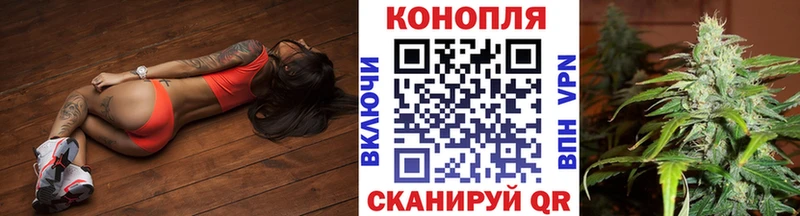 цены   Ставрополь  Марихуана план 